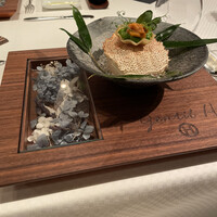 ジョンティ アッシュ - 