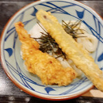 Marugame Seimen - 