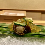 Kamakura Kitajima - トコブシと鮑 雷干しの胡瓜 お酢のゼリーがけ
                        見た目にも涼やかな盛り付けが素敵です♪
                        こんな設えの先付はほんと良いですね。
                        ほんのりとした苦味に酢の柔らかな塩梅、上品な美味しさです♪