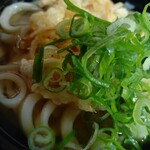 Hakata Sanuki Udon - 