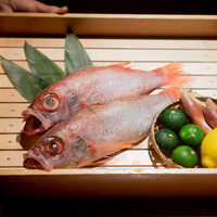 のどぐろ専門 銀座 中俣 - 