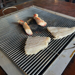 Sails BBQ - サイズがアメリカン