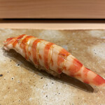 寿し あや瀬 - 熊本県天草の車海老