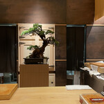 寿し あや瀬 - センターポジション♥️