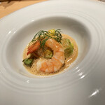 シブ ニシナカス - 