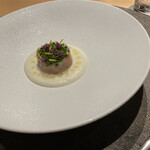 シブ ニシナカス - 