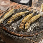 和めし屋 次や - 料理写真: