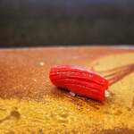 鮨 難波 - 赤身。メジマグロのさわやかな赤身。