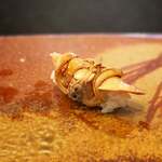 鮨 難波 - 煮蛤。なんでも獲れちゃう富山湾。