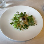 アロセリア ラ パンサ - 