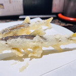 Tempura Tsuna Hachi - 