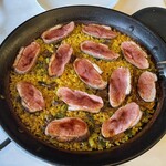 アロセリア ラ パンサ - 