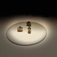 カンテサンス - 