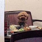 ドックカフェ 風音 - 