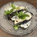 "Yamada's raw Oyster" from Iwate Prefecture - Fresh oysters - Green chili vinaigrette -