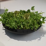 ラ・ヴァガボンド - 