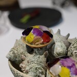 ラ・ヴァガボンド - 