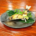 蛍 - 郡上八幡吉田川『郡上鮎』塩焼き(特々大)です(o^^o)