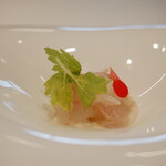 RISPETTO - 