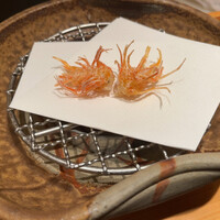 天ぷら 銀座おのでら 並木通り店 - 
