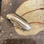 寿し幸 実宇栄 - 