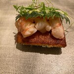 カンテサンス - 