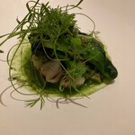 カンテサンス - 