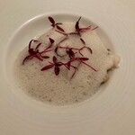 カンテサンス - 