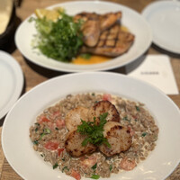 CICADA - ホタテのロースト、ファロと舞茸のクリームリゾット