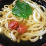 宝うどん - 梅おろしうどん(温)おろし抜きで(^_^;)