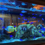 アクアリウムダイニング 新宿ライム - 