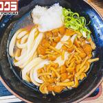 ヨコクラうどん - 