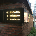 CICADA - 