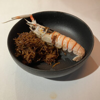 TexturA -  TexturA -