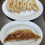Kyuuryuu - 餃子とジャンボ餃子　食べ比べ