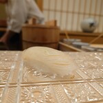 青空 - アオリイカ