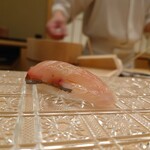 青空 - シマアジ