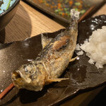 炭劇場 徳永座 - 大とろいわし