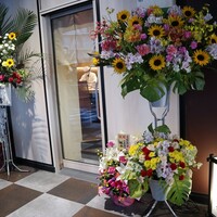 博多 鮨 桃の木 - 6/1オープン