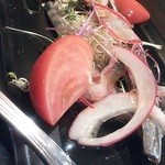 フォルトゥーナ - 