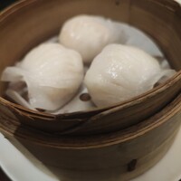 家寶 跳龍門 - 