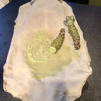 日本料理 梅林 - 