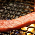 よろにく - じゅうじゅう～。（2013/8）