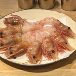 イタリア料理 今井 - 