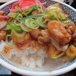 Yoshinoya - 焦がしねぎ焼き鳥丼ご飯