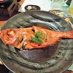 菜々海 - 金目鯛