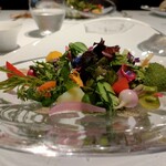 レフェルヴェソンス - 