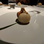 レフェルヴェソンス - 