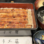 うな藤 - 鰻重　松