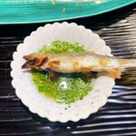 富小路 やま岸 - 